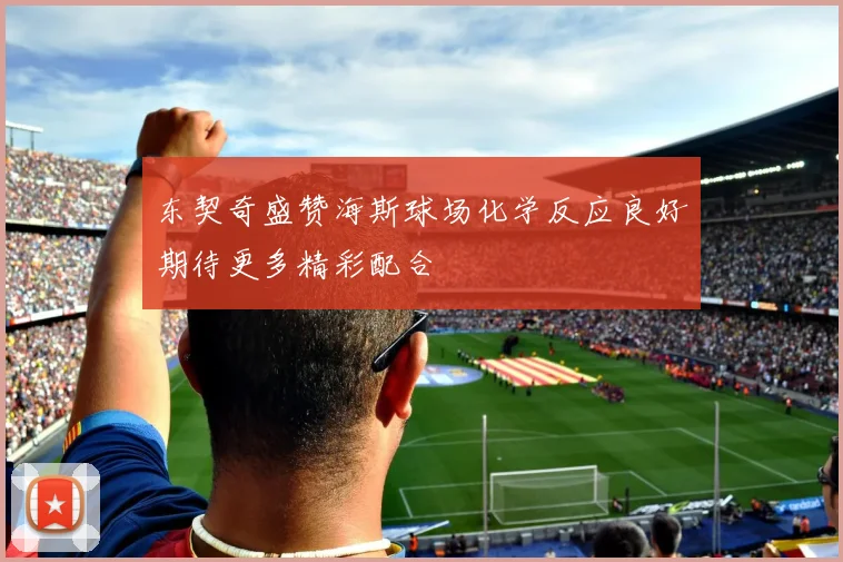 东契奇盛赞海斯球场化学反应良好期待更多精彩配合