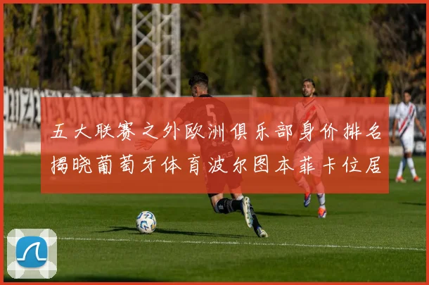 五大联赛之外欧洲俱乐部身价排名揭晓葡萄牙体育波尔图本菲卡位居前三