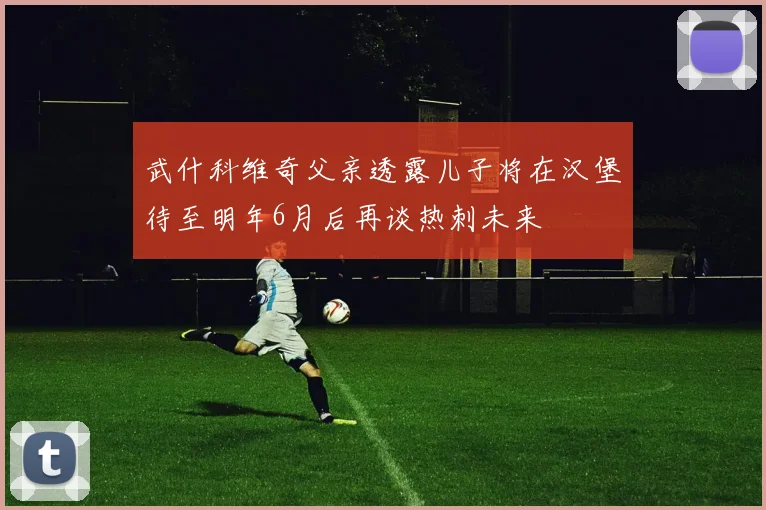 武什科维奇父亲透露儿子将在汉堡待至明年6月后再谈热刺未来