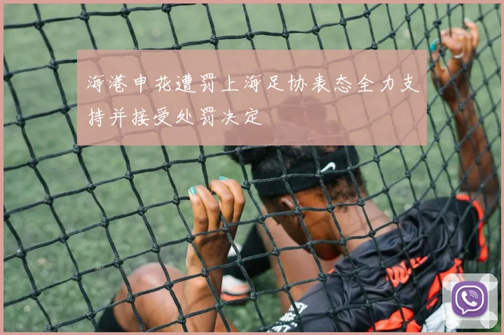 海港申花遭罚上海足协表态全力支持并接受处罚决定