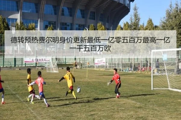 德转预热费尔明身价更新最低一亿零五百万最高一亿一千五百万欧 | leyu