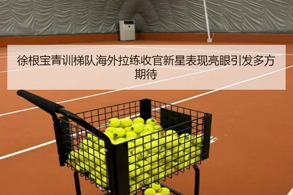徐根宝青训梯队海外拉练收官新星表现亮眼引发多方期待 | leyu